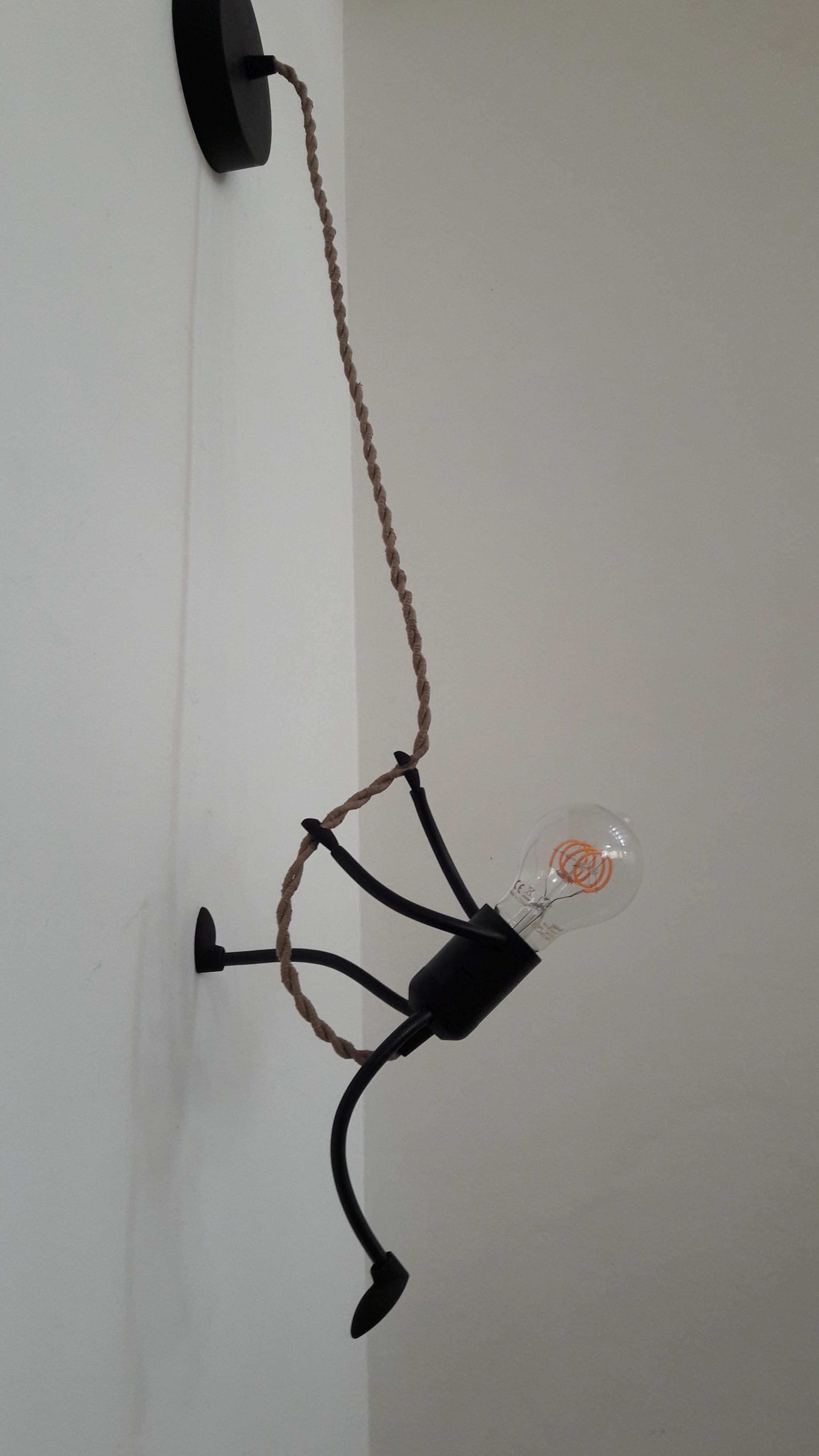 Mr. Bright One on a Rope